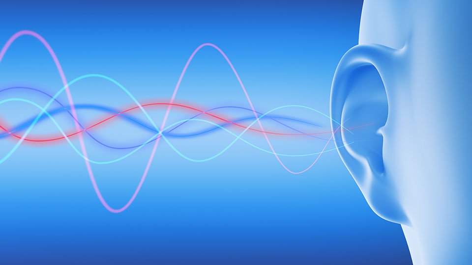la imagen muestra una simulación de la pérdida auditiva de alta y baja frecuencia 