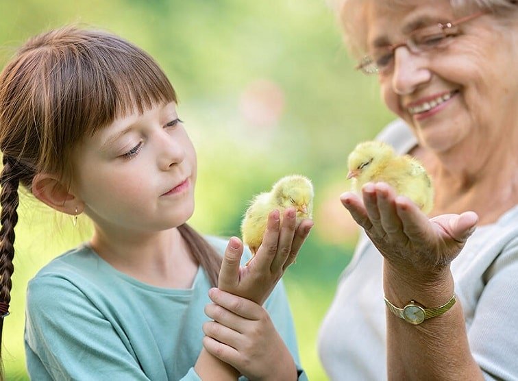 Une enfant avec sa grand-mère partageant un moment conviviale pleine d'entente