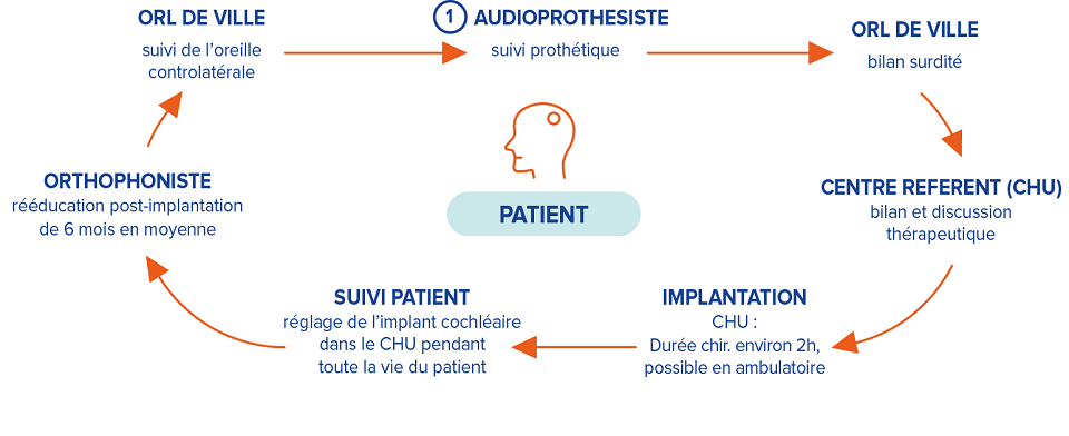 schéma du parcours auditif d'un patient