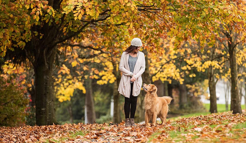 Femme avec son chien dans un parc